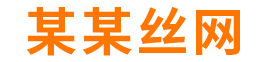 某某丝网有限公司